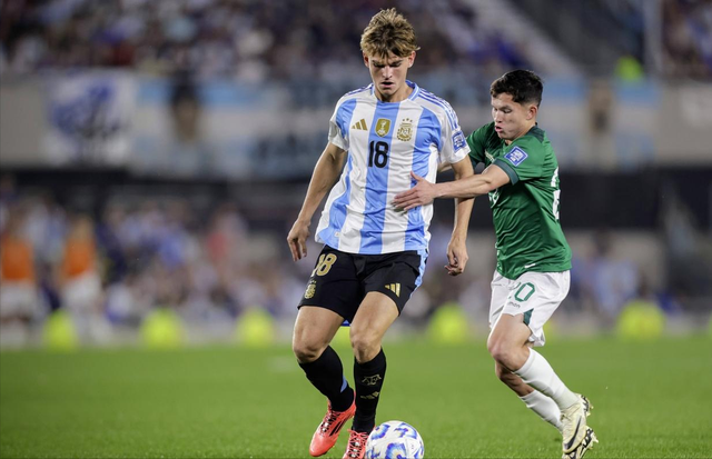 刚组建的新 刚组建的新