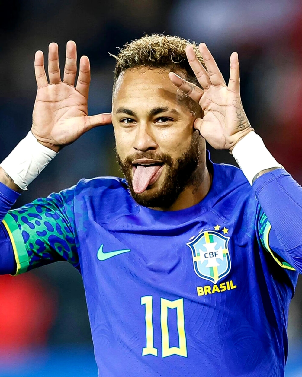 形成了被集 形成了被集